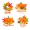 Seasonal hello fall banners