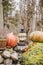 Seasonal home garden autumn decoration with heather flower in pine bark flower pot.