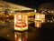Seasonal Illumination in Ashikaga Flower Park