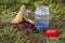 Seasonal picking of mushrooms and berries, a large boletus and a jar for picking berries