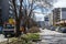 Seasonal pruning of bare trees on the city street. Pile of pruned tree branches stacked on a wide road dividing lane. Springtime