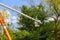 Seasonal pruning trees at the springtime with tree care with hydraulic ramp