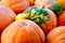 Seasonal Pumpkin Background