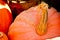 Seasonal Pumpkin Background