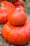 Seasonal pumpkin harvest on straw market selective focus