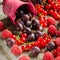 Seasonal ripe berries. Harvest. Red currants, raspberries and go