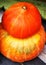 Seasonal ripe pumpkins background