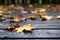 Seasonal Serenity: Autumn Leaves on Black Timber.
