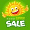 Seasonal Summer Sale Advertisement banner