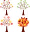 Seasonal Tree Illustrations