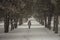 Seasonal winter city landscape day. Empty street park alley in snow. Woman in a red hat on a romantic walk.