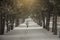 Seasonal winter city landscape day. Empty street park alley in snow. Woman in a red hat on a romantic walk.