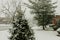 Seasonal winter snow covered street trees and houses USA and Canada