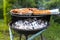 The seasoned and incised sausage lying on an aluminum tray, on a managing grill, in the home garden.