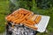 The seasoned and incised sausage lying on an aluminum tray, on a managing grill, in the home garden.