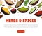 Seasoning and Spices Banner Design with Pile of Condiments in Bowl Vector Template