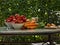 Seasonly riped vegetables with old fashion preserving jars, cooking pot.