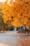 Seasons, golden autumn in the city, trees on the alley in the park with yellow orange autumn foliage in October near the walking p