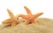 Seastar and sand bank