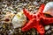 Seastar and seashells on pebbles