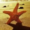 Seastar in the seashore with a retro effect