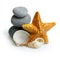 Seastar, stones and seashell.