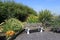 Seat in a Sensory Garden with flowers and plants