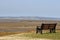 Seat on shore and view across Morecambe Bay