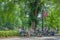 Seated Individuals at Northrop Mall. University of Minnesota