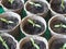 Seated small sprouts of tomatoes in peat cups.Spring agricultural preparatory work.