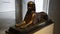 Seated sphinx statue, Egyptian Museum