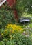 Seating area at a flower garden