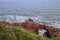 Seaton Cliffs. Arbroath Beach in Angus. Scotland.