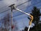 Seattle City Light workmen replace an aging utility pole