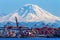 Seattle Port Red Cranes Mt Rainier Washington