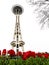 Seattle Space Needle With Tulips