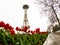 Seattle Space Needle With Tulips