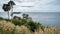 Seaview & palm trees at Promthep Cape Landmark viewpoint in Phuket