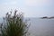 Seaview from the shore with grass in the foreground, seascape, sea and mountain views.