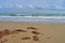 Seaweed On the Beach