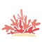 Seaweed, coral and sea grass flat design vector .