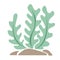 Seaweed, coral and sea grass flat design vector .