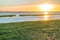 Seaweed field on Waddensea wetlands, Netherlands