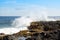 Seaweed grows in splash fed tidal pool