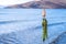 Seaweed on a in-line spinnerbait with unfocused lake and mountains background.
