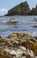 Seaweed on the rocks in Asturias beach