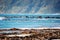 Seaweed rocks mountains in Cape Town South Africa