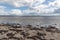 Seaweed, sand and rocks in Ballyloughane Beach