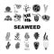 Seaweed Sea Underwater Plant Icons Set Vector