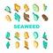 Seaweed Sea Underwater Plant Icons Set Vector